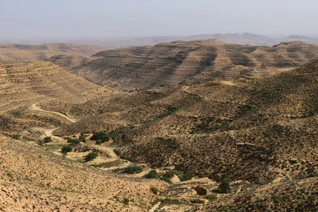 Les collines en terrasses du Dahar, traversées par un oued bordé de palmiers