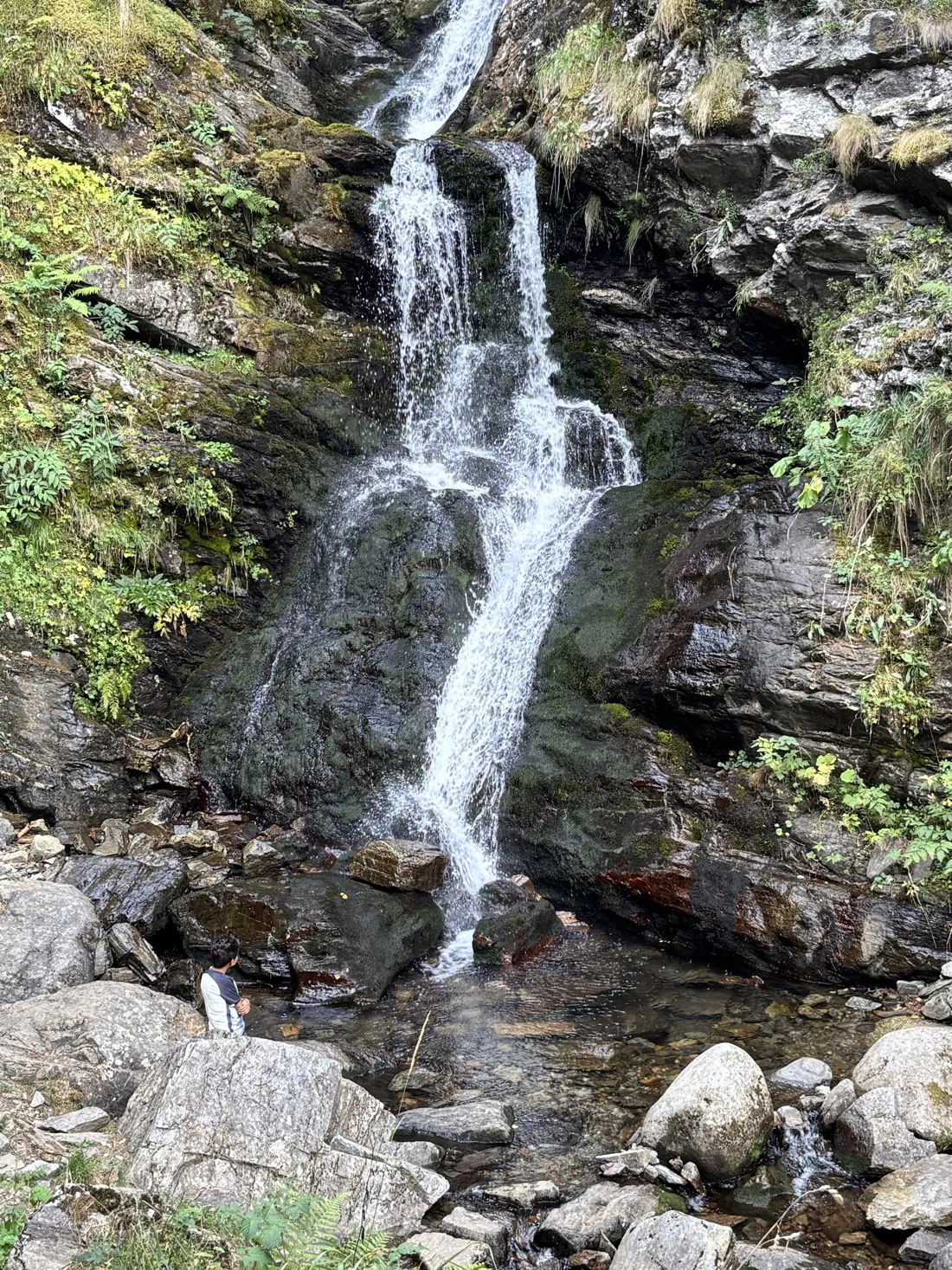 Dido au pied d'une cascade